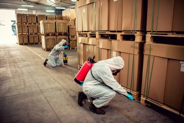 Best Exterminator Services  in Alb, IA