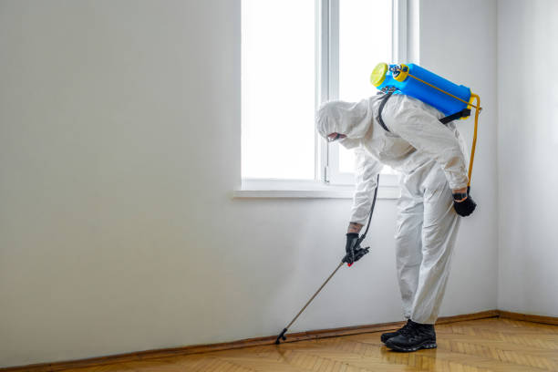 Pest Control Cost in Albia, IA
