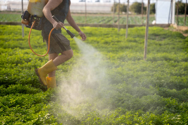 Best Pest Control Cost  in Alb, IA