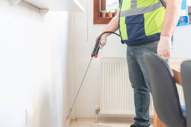 Best Cockroach Control Services  in Alb, IA