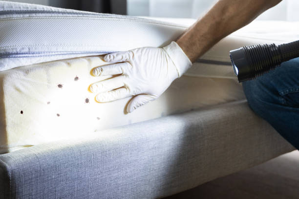Pest Prevention Services in Albia, IA