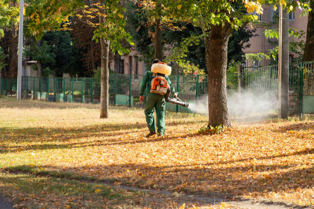Best Wasp Removal Services  in Alb, IA