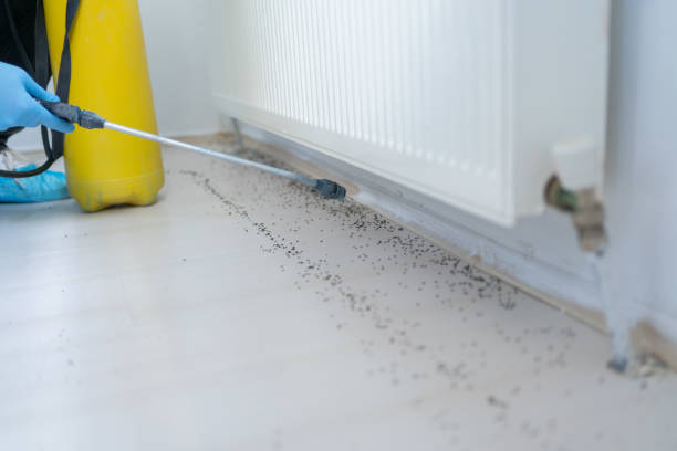 Albia, IA Pest Control Company
