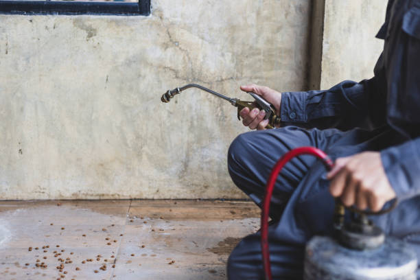 Best Local Pest Control Services  in Alb, IA