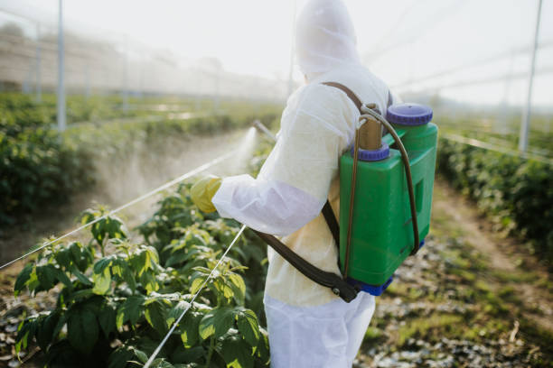 Best Bed Bug Extermination  in Alb, IA
